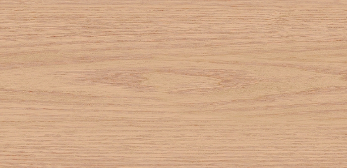 福臻MCM柔性 AI 3D数字打印船木